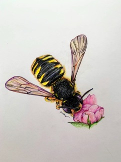 IMG_6366.jpeg IMG_6366.jpeg